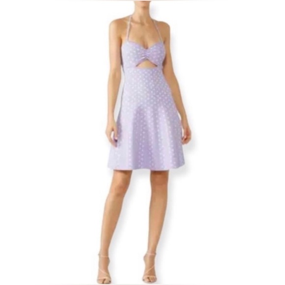 Ronny Kobo Collection Dresses & Skirts - Revolve Ronny Kobo Purple Polka Dot Shila Dress Size XS